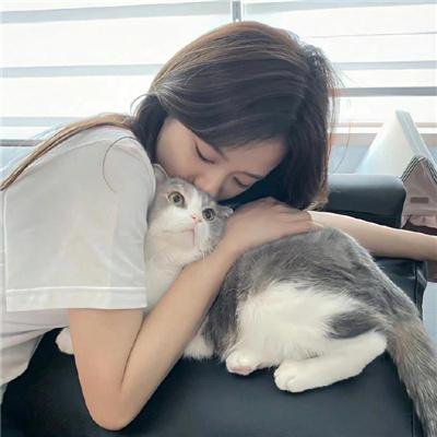 驴子巴达萨
